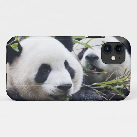 Coques Case-Mate iPhone Panda Bear Hugs (Dos (Horizontal))