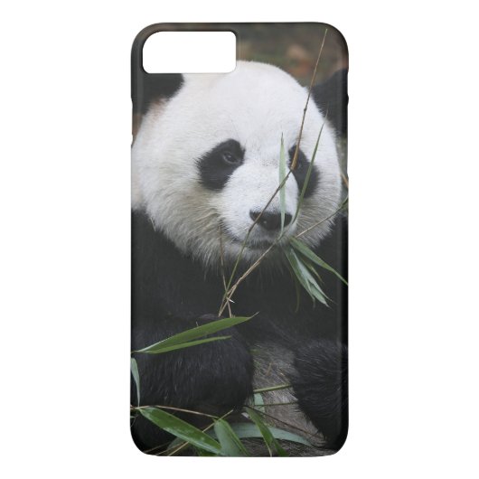 Coques Case-Mate iPhone Panda géant (Dos)