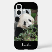 Panda Géant chinois mignon Trim noir, Nom personna