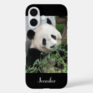 Coques iPhone 16 Panda Géant chinois mignon Trim noir, Nom personna
