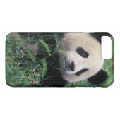 Coques Case-Mate iPhone Panda géant dans l'herbe, vallée de Wolong, Sichua (Dos (Horizontal))