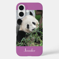 Panda géant mignon, violet orchidée, nom,