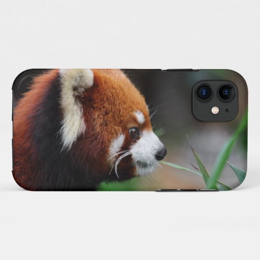 Coques Case-Mate iPhone Panda rouge (Dos (Horizontal))