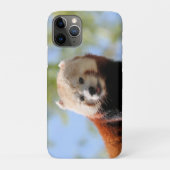 Coques Case-Mate iPhone Panda rouge (Dos)