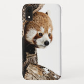 Coques Case-Mate iPhone Panda rouge en regardant d'un tronc d'arbre (Dos)