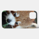 Coques Case-Mate iPhone Panda rouge, zoo de Taronga, Sydney, Australie (Verso (horizontal))