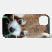 Coques Case-Mate iPhone Panda roux, Taronga Zoo, Sydney, Australie (Verso (horizontal))