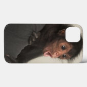 Coques Case-Mate iPhone Paniscus rougeaud d'Ateles de singe d'araignée) (Verso (horizontal))