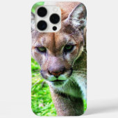Coques Case-Mate iPhone PANTHER iPHONE 16 PHONE CASE (Verso)