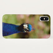 Coques Case-Mate iPhone Paon (Dos (Horizontal))