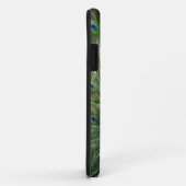 Coques Case-Mate iPhone Paon criard (Dos/Droite)