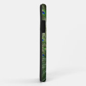 Coques Case-Mate iPhone Paon criard (Dos/Droite)