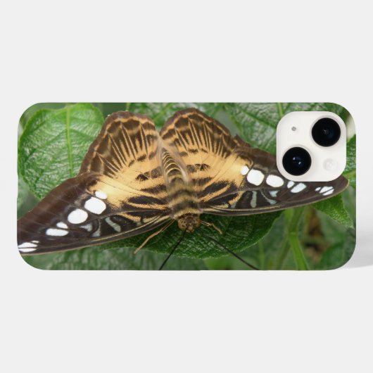 Coques Case-Mate iPhone Papillon à clipper Tropical (Verso (horizontal))