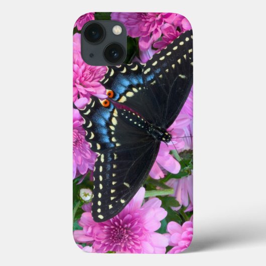Coques Case-Mate iPhone Papillon à damier de Baltimore (Verso)