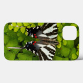 Coques Case-Mate iPhone Papillon à queue noire américain (Verso (horizontal))