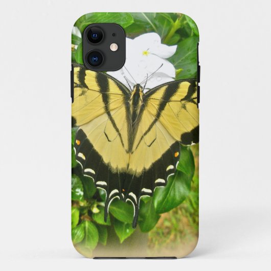 Coques Case-Mate iPhone Papillon à queue noire - Fleurs (Dos)
