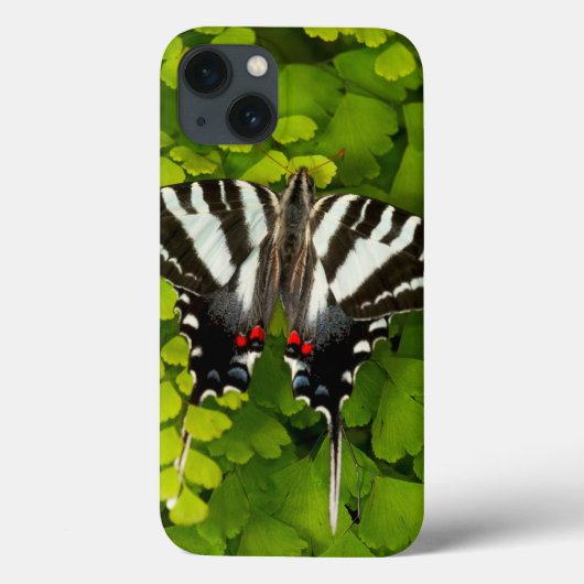 Coques Case-Mate iPhone Papillon American Swallowtail (Verso)