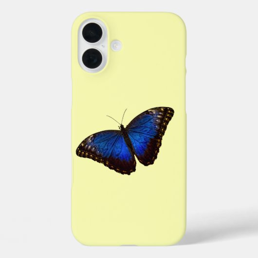 Coques Case-Mate iPhone Papillon bleu Morpho sur Canary (Verso)