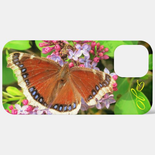 Coques Case-Mate iPhone Papillon Brown avec points bleus sur Lilacs Coque- (Retour (horizontal))