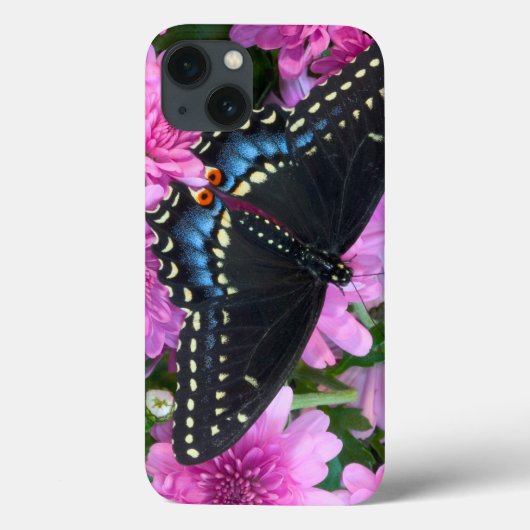 Coques Case-Mate iPhone Papillon Checkered de Baltimore (Verso)