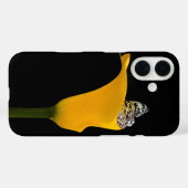 Coques Case-Mate iPhone Papillon dans un lys calla (Verso (horizontal))