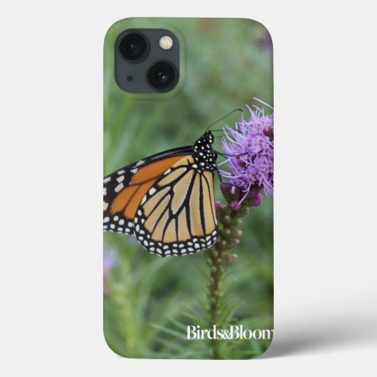 Coques Case-Mate iPhone Papillon monarque (Verso)
