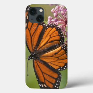 Case-Mate iPhone Case Papillon monarque mâle sur Asclépiade incarnate