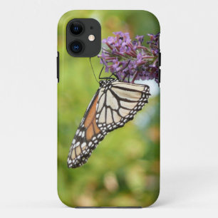 Coques Pour iPhone Papillon Monarque sur papillon pourpre Bush