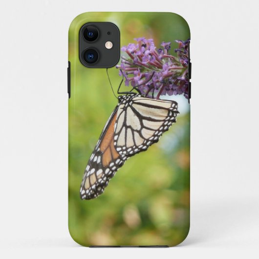 Coques Case-Mate iPhone Papillon Monarque sur papillon pourpre Bush (Dos)