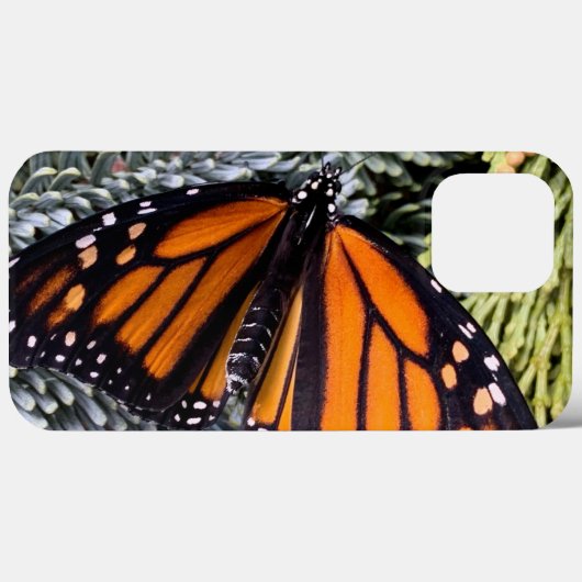 Coques Case-Mate iPhone Papillon monarque sur verdure (Verso (horizontal))