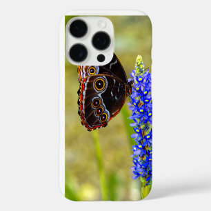 Coques iPhone 16 Pro Papillon morpho bleu sur une orchidée de marais