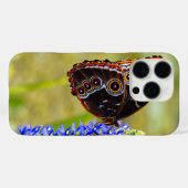 Coques Case-Mate iPhone Papillon morpho bleu sur une orchidée de marais (Verso (horizontal))