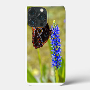 Case-Mate iPhone Case Papillon morpho bleu sur une orchidée de marais