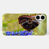 Coques Case-Mate iPhone Papillon morpho bleu sur une orchidée de marais (Verso (horizontal))