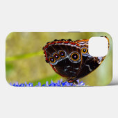Coques Case-Mate iPhone Papillon morpho bleu sur une orchidée de marais (Verso (horizontal))