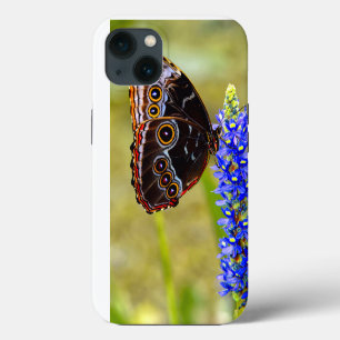 Case-Mate iPhone Case Papillon morpho bleu sur une orchidée de marais