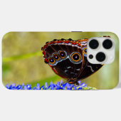 Coques Case-Mate iPhone Papillon morpho bleu sur une orchidée de marais (Verso (horizontal))
