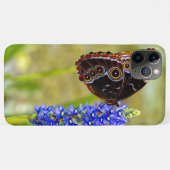 Coques Case-Mate iPhone Papillon morpho bleu sur une orchidée de marais (Dos (Horizontal))