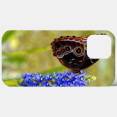 Coques Case-Mate iPhone Papillon morpho bleu sur une orchidée de marais (Verso (horizontal))