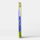 Coques Case-Mate iPhone Papillon morpho bleu sur une orchidée de marais (Verso / Gauche)
