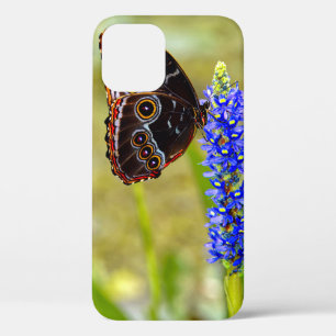 Case-Mate iPhone Case Papillon morpho bleu sur une orchidée de marais