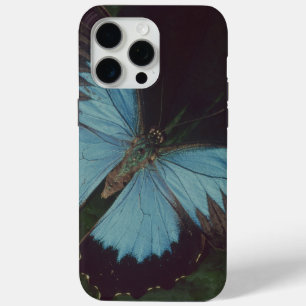 Coque iPhone 15 Pro Max Papillon noir et bleu
