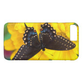 Coques Case-Mate iPhone Papillon Papilio polyxenes (Dos (Horizontal))