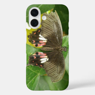 Coques iPhone 16 Papillon porte-queue écarlate
