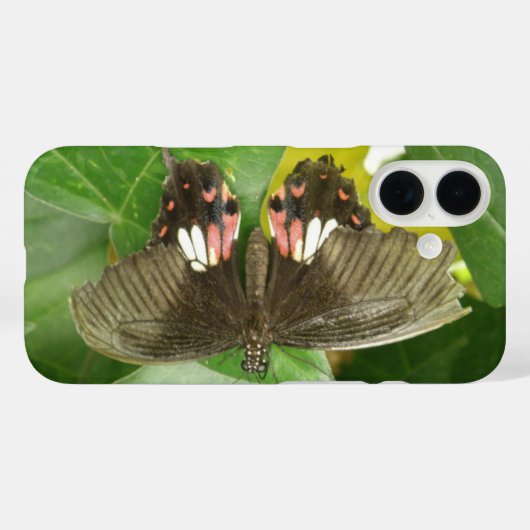 Coques Case-Mate iPhone Papillon porte-queue écarlate (Verso (horizontal))
