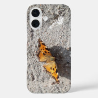 Papillon sous le soleil