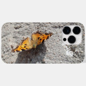 Coques Case-Mate iPhone Papillon sous le soleil (Verso (horizontal))