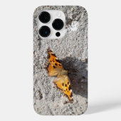 Coques Case-Mate iPhone Papillon sous le soleil (Verso)