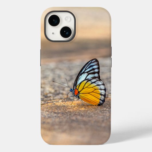Coques Case-Mate iPhone Papillon sur la plage (Verso)