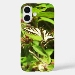 Coques iPhone 16 Papillon sur pommier sauvage